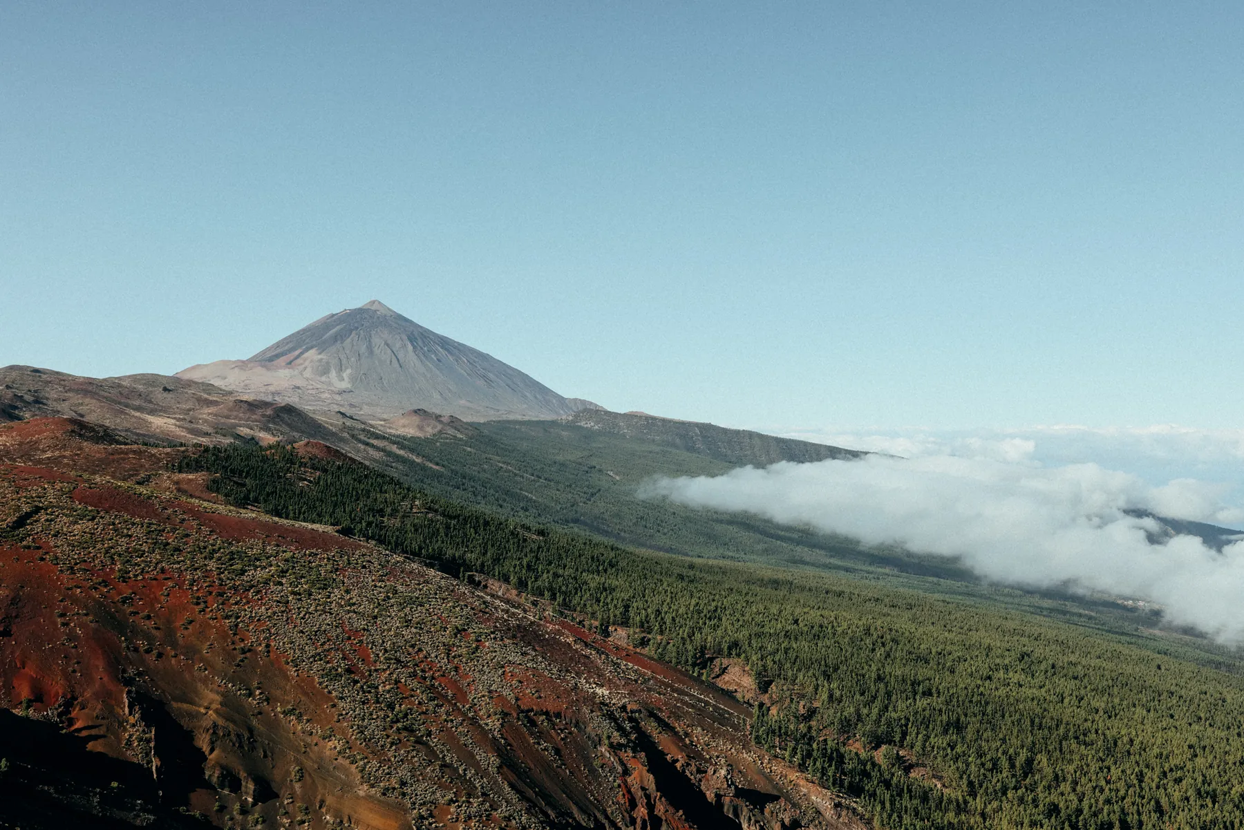 Der Teide über Kiefernwald, rechts ziehen Wolken durchs Tal